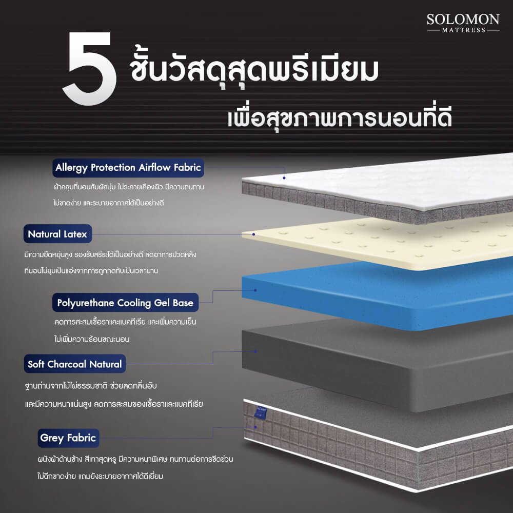 ที่นอน 6 ฟุต SOLOMON รุ่น COCO หนา 9 นิ้ว_2